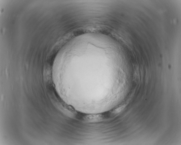 X0000078230526200611171437