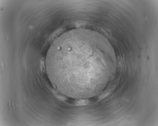 X0000078230527200611171437