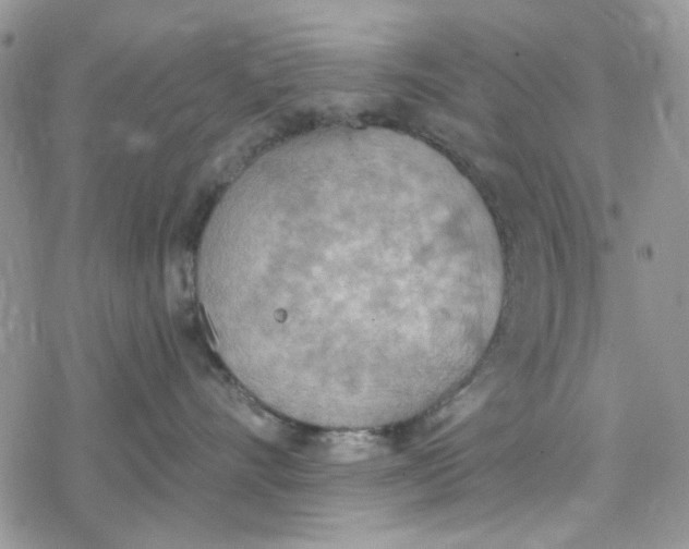 X0000078230528200611171437