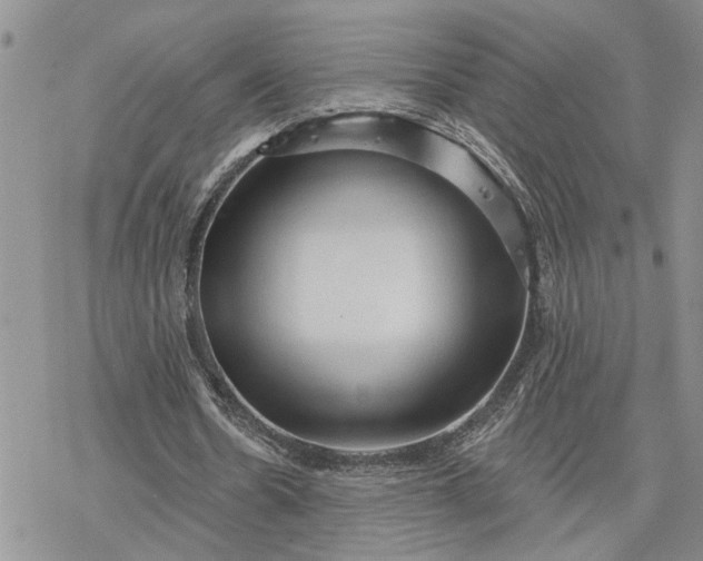 X0000078230530200611171436