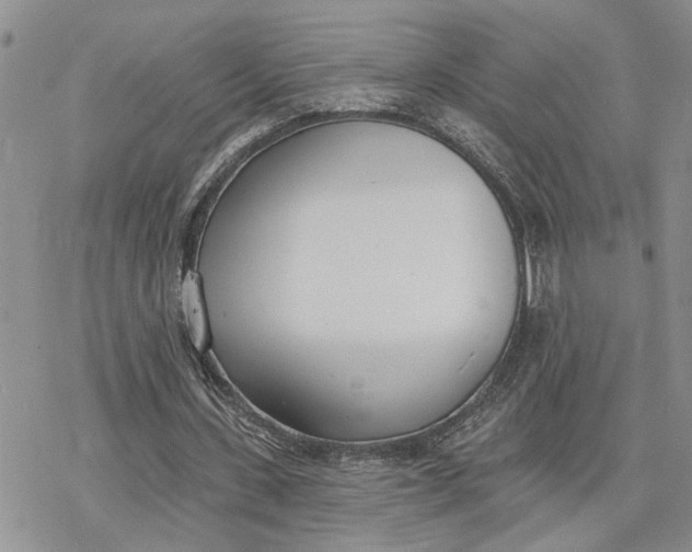 X0000078230531200611171436