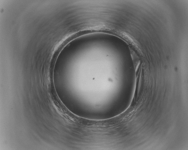 X0000078230532200611171436