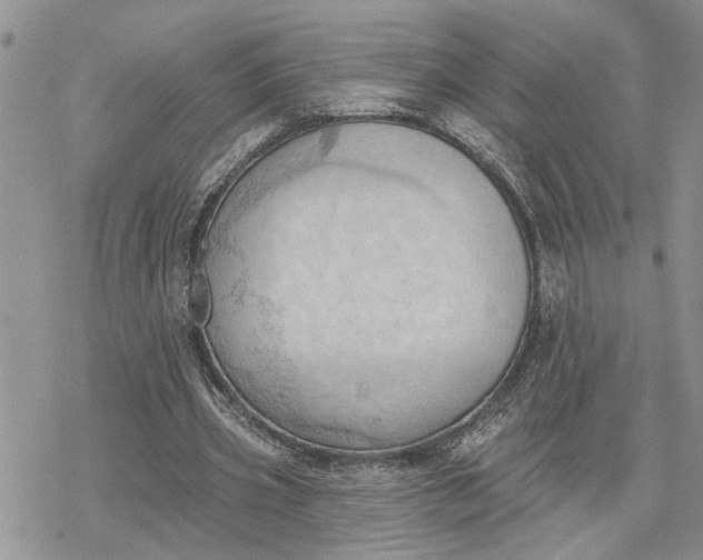 X0000078230533200611171436