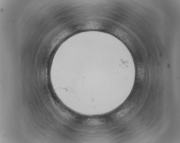 X0000078230534200611171436