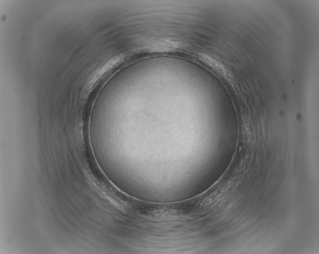 X0000078230535200611171436