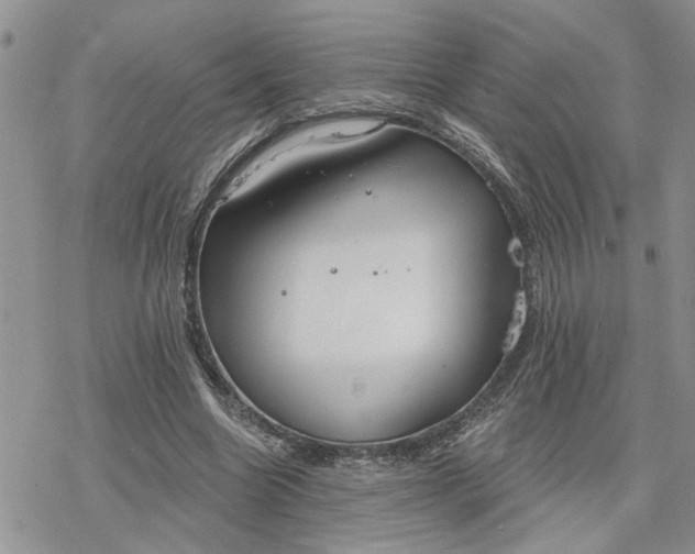 X0000078230538200611171436