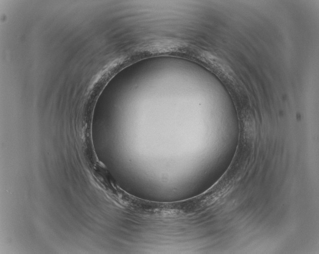 X0000078230539200611171436