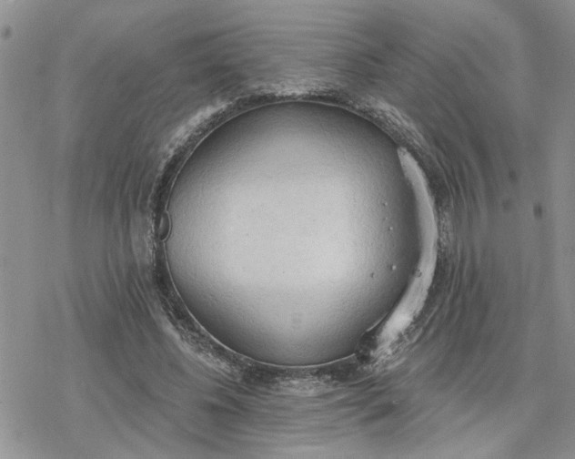 X0000078230540200611171436