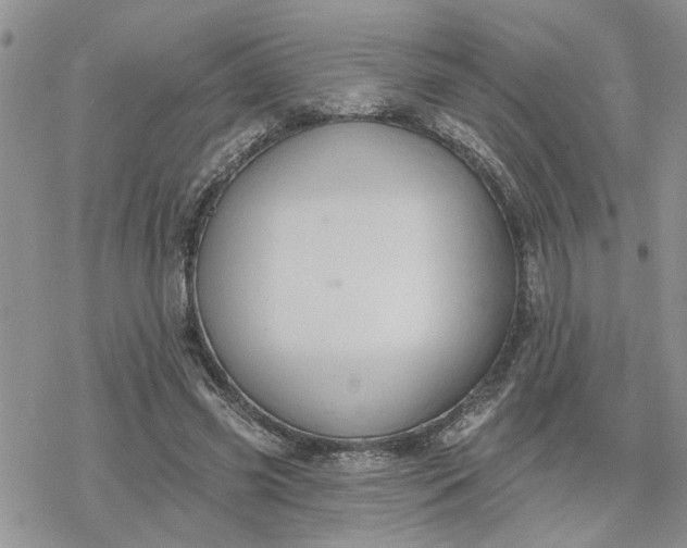 X0000078230541200611171436