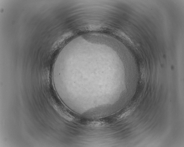 X0000078230542200611171436