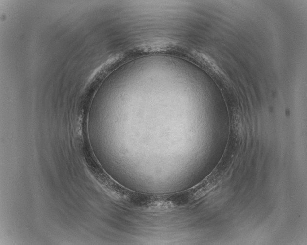 X0000078230543200611171436