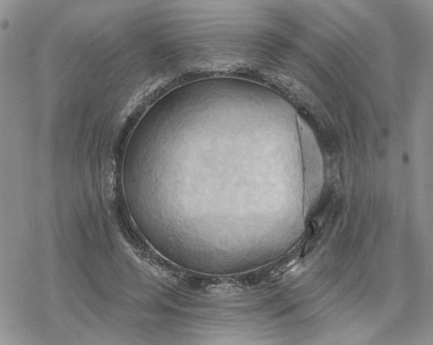 X0000078230544200611171436