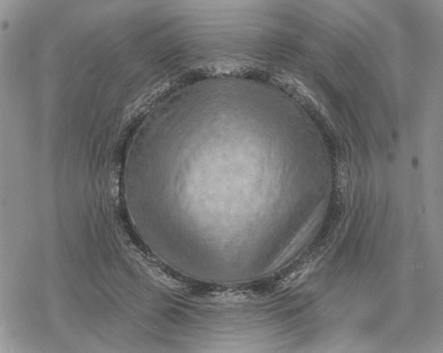 X0000078230545200611171436