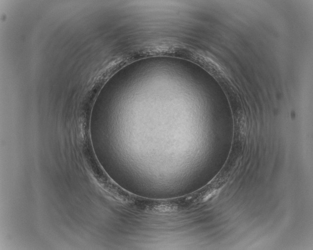 X0000078230546200611171436