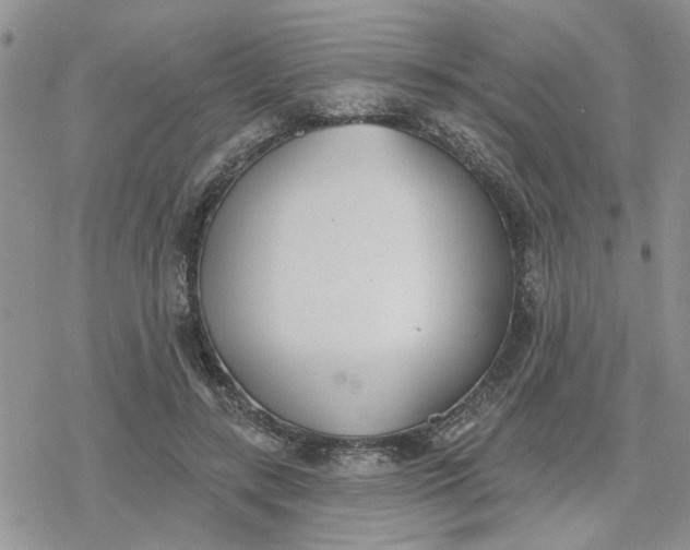 X0000078230547200611171436