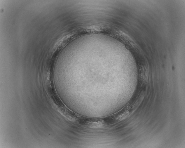 X0000078230548200611171436