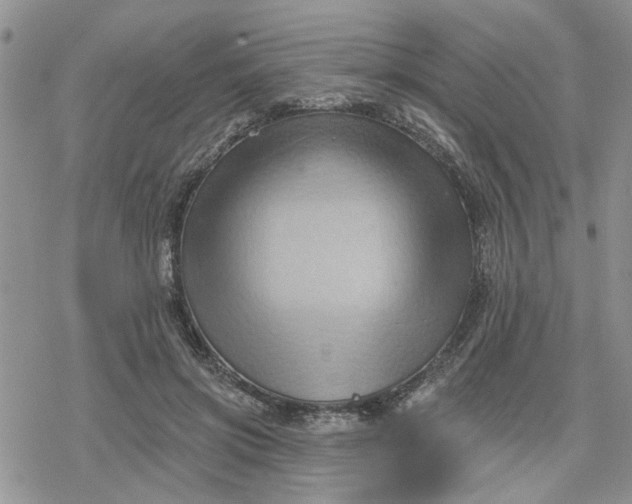 X0000078230549200611171436