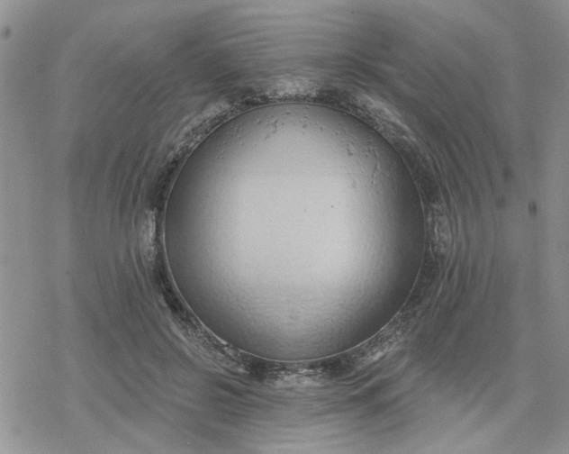 X0000078230550200611171436