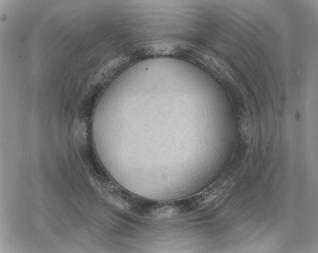 X0000078230551200611171436