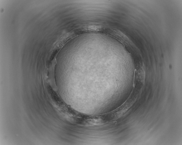 X0000078230552200611171436