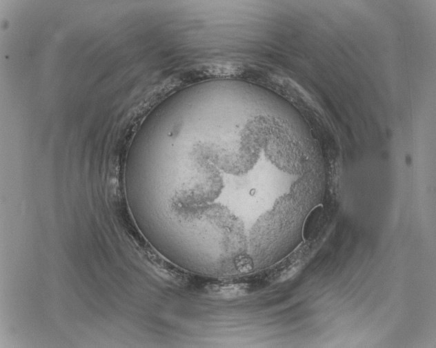 X0000078230553200611171436