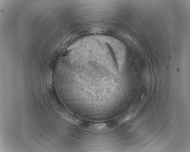 X0000078230554200611171436