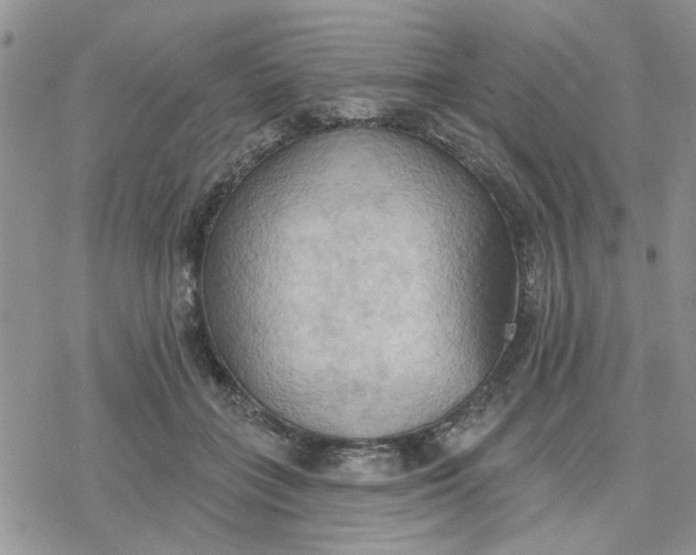 X0000078230555200611171436