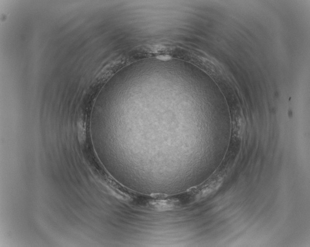 X0000078230558200611171436