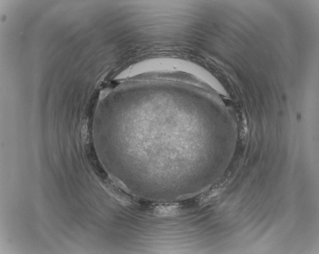 X0000078230560200611171436