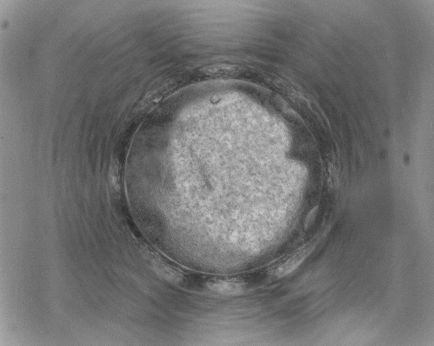 X0000078230561200611171436