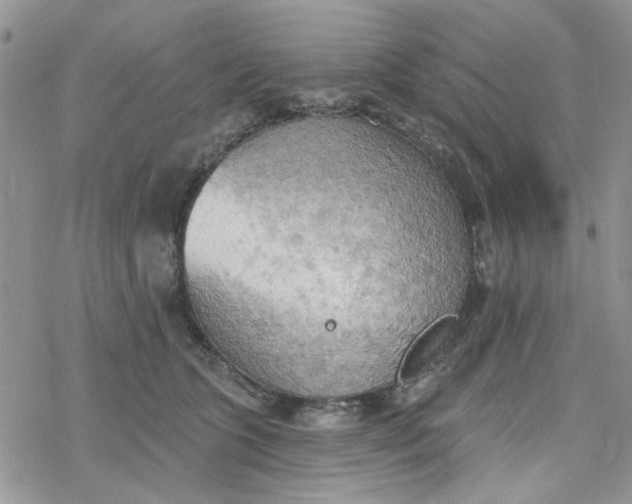 X0000078230563200611171436