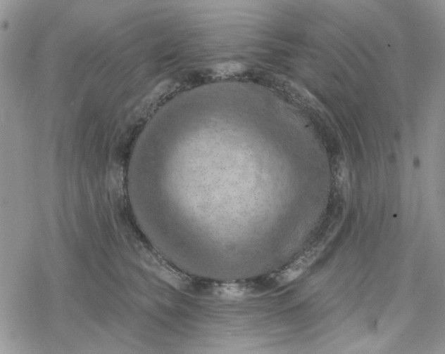 X0000078230565200611171436