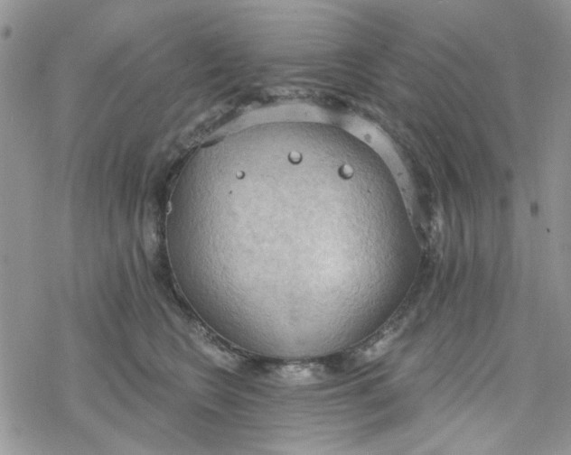 X0000078230566200611171436