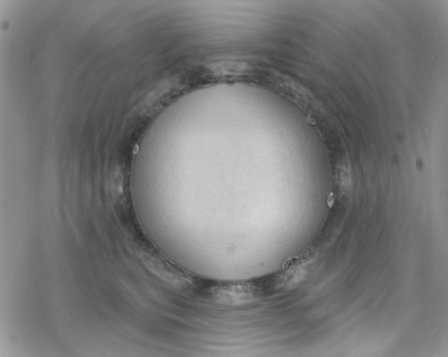 X0000078230567200611171436