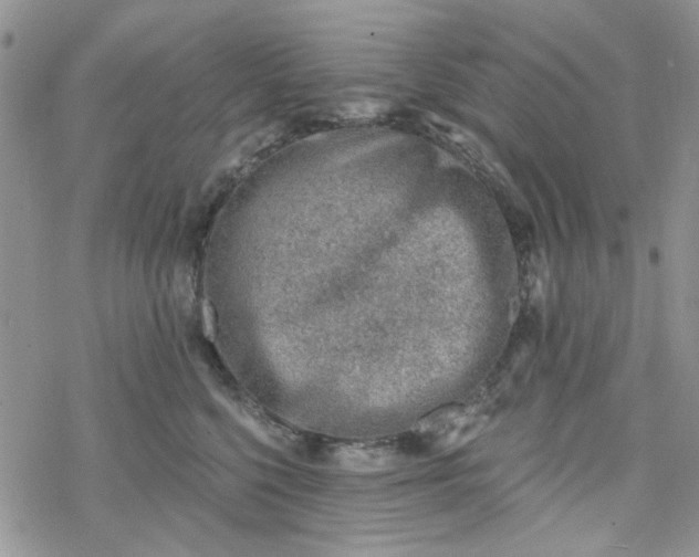 X0000078230568200611171436