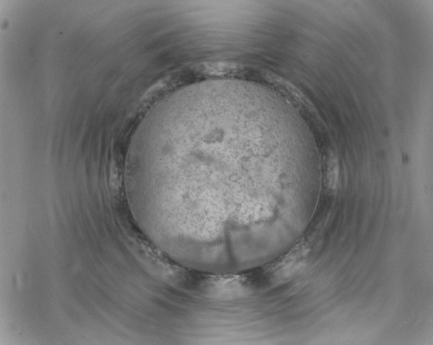 X0000078230569200611171436