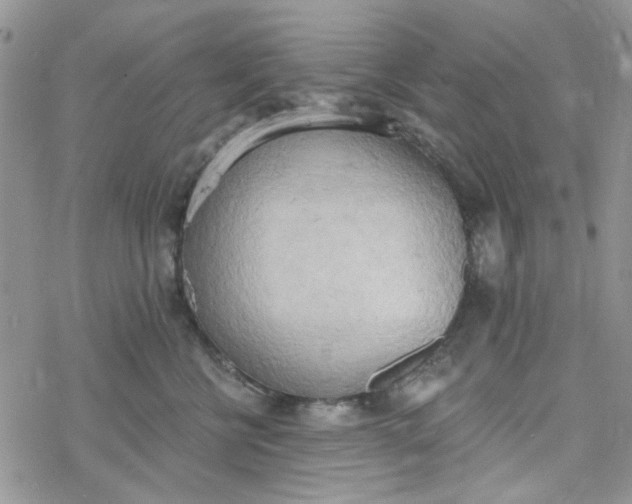 X0000078230570200611171436