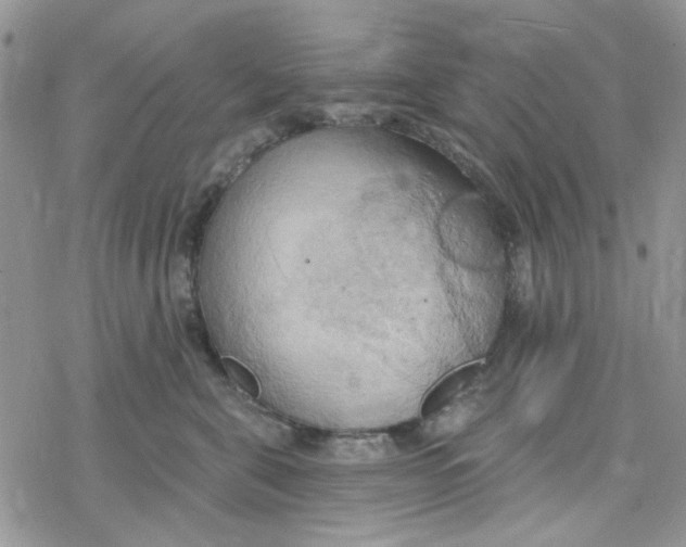 X0000078230571200611171436