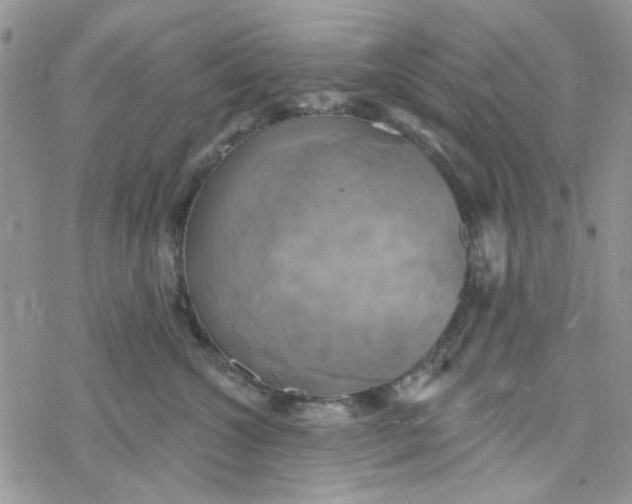 X0000078230572200611171436