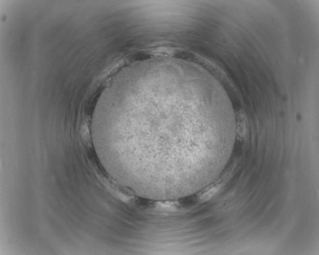 X0000078230573200611171436