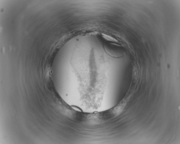 X0000078230574200611171437