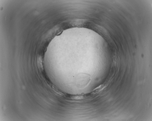 X0000078230575200611171437