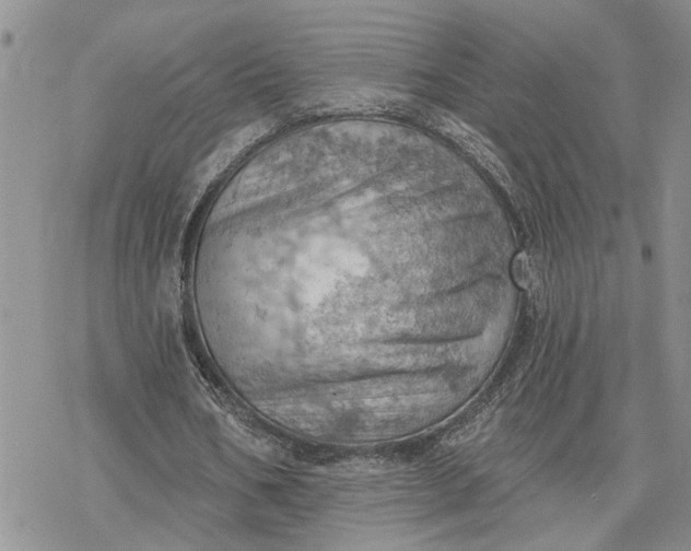 X0000078230578200611171436