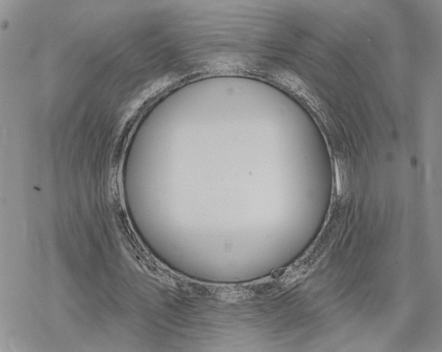 X0000078230579200611171436