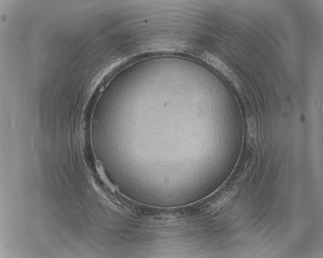 X0000078230580200611171436