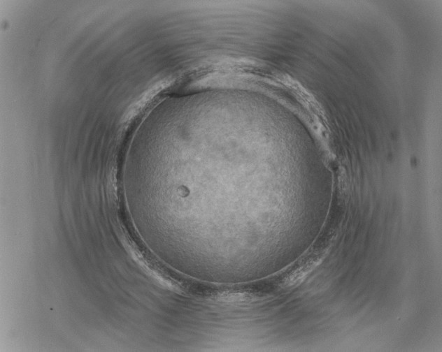 X0000078230581200611171436