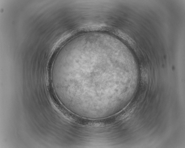 X0000078230582200611171436