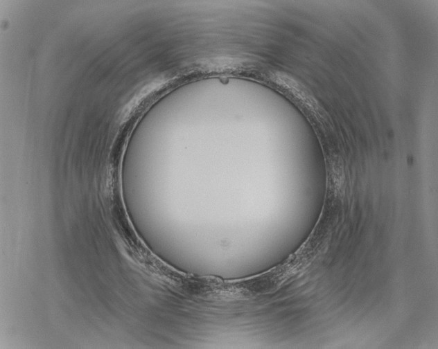 X0000078230583200611171436