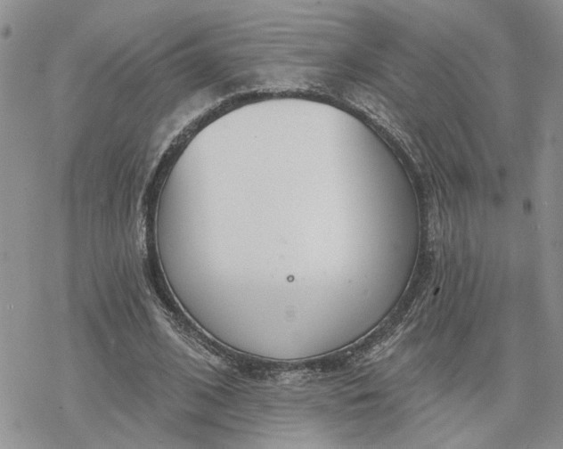 X0000078230584200611171436