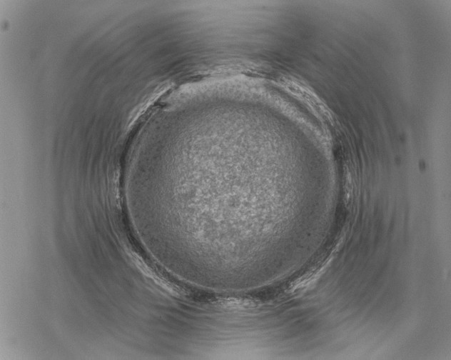 X0000078230585200611171436